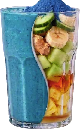 VIVA CIELO — Espirulina azul, pepino, banana, jengibre, melón, miel de abeja, piña, manzana exprimida.