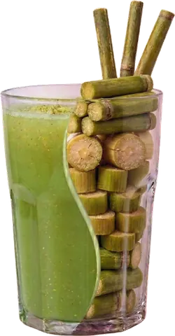 VIVA MOSTO — Jugo 100% puro de caña de azúcar.